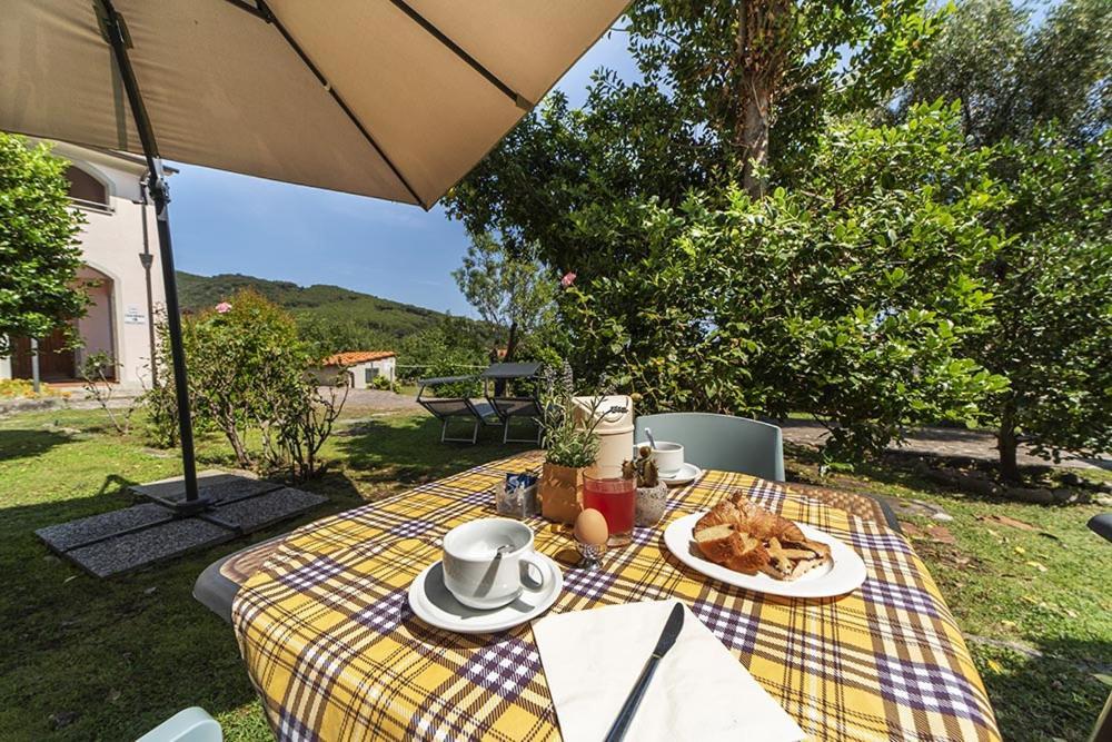 Hotel Casa Lupi Марчиана-Марина Экстерьер фото